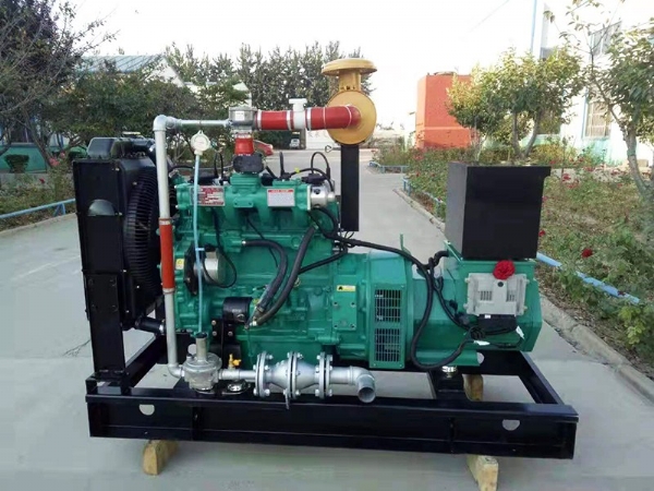 沼氣發(fā)電機(jī)